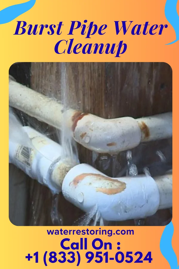 Burst Pipe Water Cleanup in Carlisle, KY