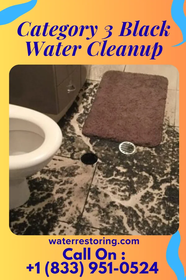 Category 3 Black Water Cleanup in Carlisle, KY