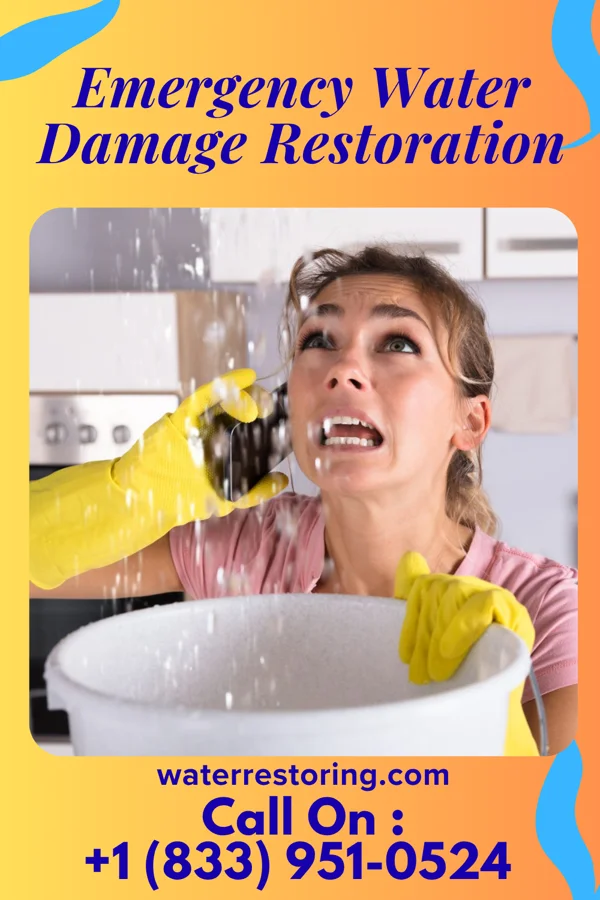 Emergency Water Damage Restoration in Carlisle, KY